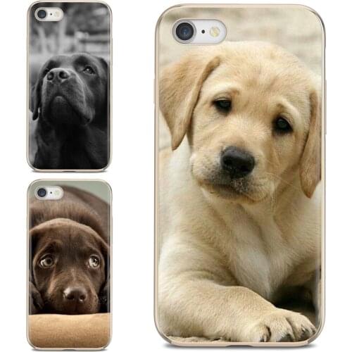 For Samsung Galaxy J1 J2 J3 J4 J5 J6 J7 J8 Plus 2018 Prime 2015 2016 2017 EU Sweet Silicone Phone Case Luxury labrador dog puppy