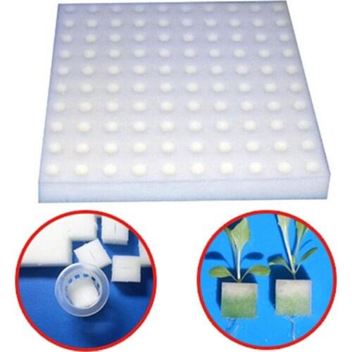 100pcs/sheet Garden Cultivation Plant White Seedling Sponge Soilless Hydroponic Vegetables Nursery Pots Seedlings Cloning Collar