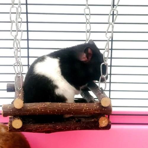 Chew Stick Apple Tree Branch Hamster Squirrel Natural Toys Parrots Rabbits Grinding Stick Hanging Bed House Hammock