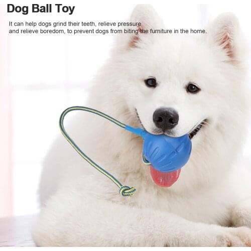 9cm Portable EVA Pet Dog Training Bite Resistant Interactive Chew Toys Ball with Carrier Rope Dog Ball Toy Pet Puppy Supplies