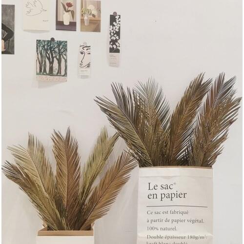 1pcsFruticose Dracaena Leaf ,Natural Dried Plant Sago Cycas Branch,Dry Palm Fan Leaves,Party Wedding Home Party Decor