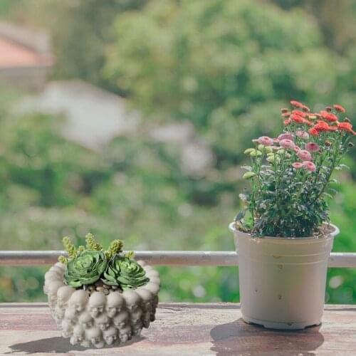 Skull Ashtray Epoxy Resin Mold Plant Flower Pot Silicone Mould DIY Crafts Candle Holder Casting Tools