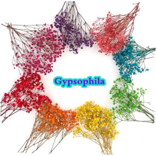 Colorful Gypsophila 80g/Bunch Dried Preserved Flowers Natural Fresh Bouquets Gift For Wedding Decoration,Valentines