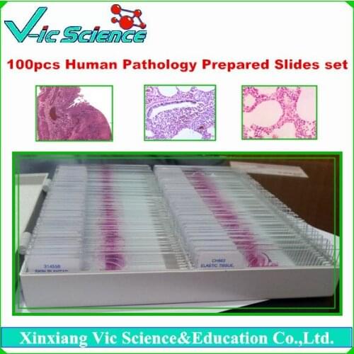 100pcs Human Pathology Prepared Slides Set