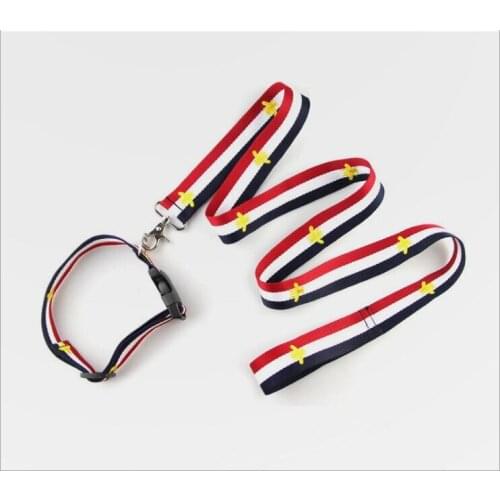 Tide Embroidery Bee Pet Collar Leash Suit Dog Collar Pet Supplies 2021 new free shipping