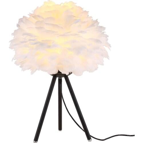 Europe Children Girl House Vertical Feather Desk Lamp Floor Lamp Bedroom Ins Marriage Room Girl Princess Bedside Desk Lamp