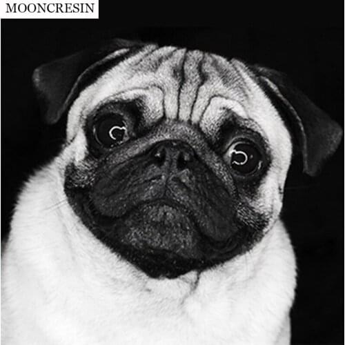 5D Diy Diamond Painting Cross Stitch Kits Diamond Mosaic Handcraft Animal Dog Full Diamond Embroidery Wall Sticker Decoration