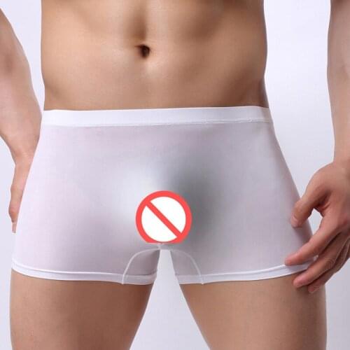 Men Seamless Panties Homme Men Boxer Shorts Cool Summer Ice silk Underwear Man Sexy See Through 3D U Convex Penis Bag Underpants