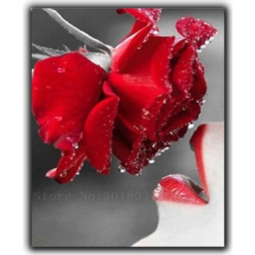 5D Diy Diamond Painting Cross Stitch Red Rose With Water & Lips Needlework Diamond Embroidery Full Round Mosaic Decoration Resin