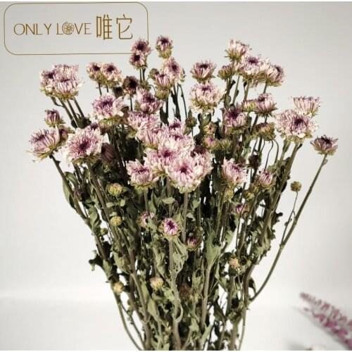 2pcs Natural Wind Real Flowers Dried Flowers Home Decoration flower garland flower wall flower wall wedding