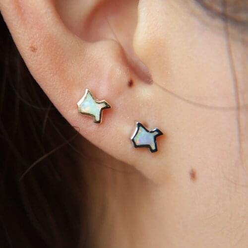Tiny Cute Outline Texas Earrings Delicate USA Map Fire Studs Pave Opal 925 Pure Silver Proud Native Hometown Texan Stud Earrings