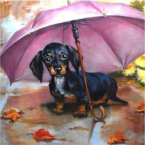 5D Diamond embroidery dachshund dog Rhinestone painting Home Decor Diy Diamond painting cross stitch patterns full drillZP-812