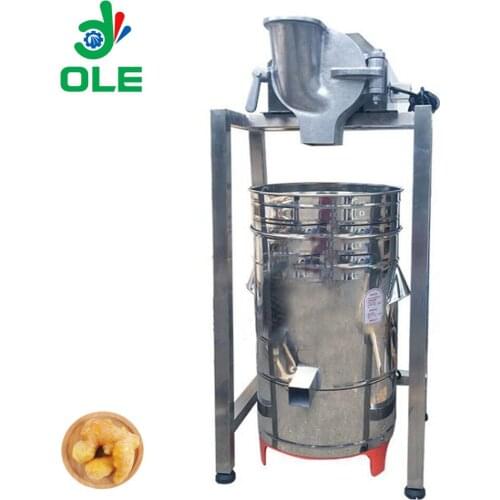 Automatic Ginger Juice Machine Industrial Ginger Juice Extraction Machine Ginger Juice Squeezer