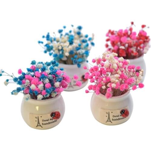 Creative Car Ornaments Plant Potted Immortal Flowers Gypsophila Car Interior Accessorie Home Decoration Living Room Bedroom Gift