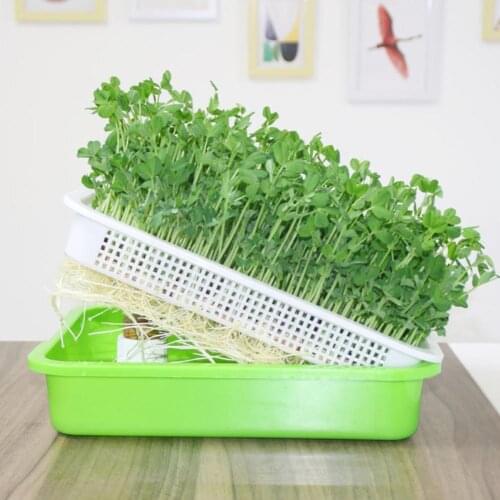 Green Seed Sprout Planting Plate With Cover Pea Bean Systems Wheatgrass Home Sprouter Germinat Hydroponic Tray Pot Seedling O1J3