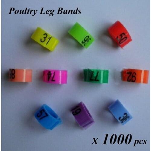 1000pcs/lot Poultry Leg Bands Bird Pigeon Parrot Chicks Rings in 10 Colors GSF-PPR-O
