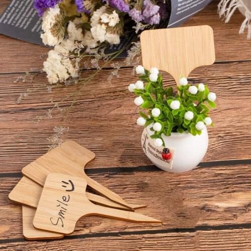 50Pcs Bamboo Plant Labels , Eco-Friendly T-Type Wooden Plant Sign Tags Garden Markers for Seed Potted Herbs Flowers Vegetables