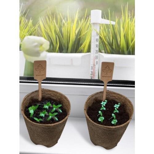 Garden Starter Kit Handmade Durable DIY Grow Set For Growing Herbs Indoors Creative Pulp Planter DIY Kitchen Growing Kit