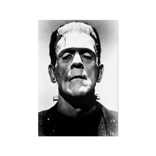 Lot style Choose Classic Frankenstein Universal Monsters Horror Movie Art print Silk poster Home Wall Decor