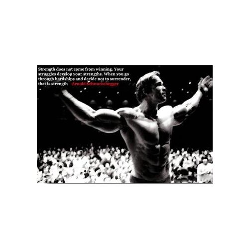 Lot style Choose Bodybuilding Motivational Art print Silk poster Home Wall Decor