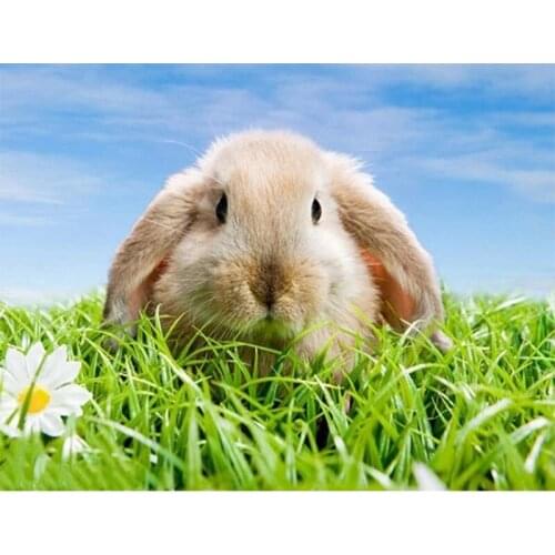 New 5D DIY diamond painting cute animal rabbit mosaic embroidery animal cross stitch embroidery crafts ornaments gift E1505