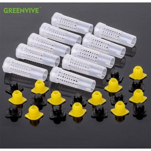 20PCS Bee Queen Cage Rearing Cover Catcher Queen Plastic Cells Bees Box Cages Beekeeping Tools Abelhas Apiculture Equipement