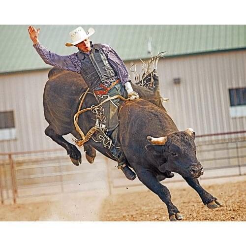 "Matador" picture DIY digital painting by number painting Christmas birthday unique gift