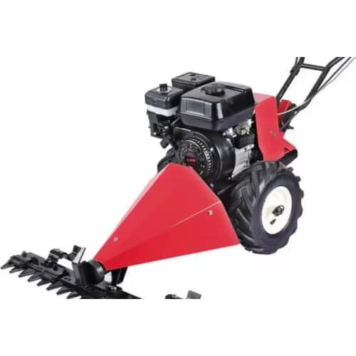 Mini lawn mower gasoline