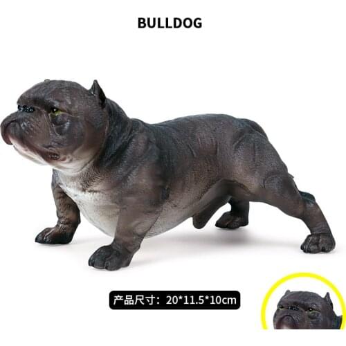 Realistic Wildlife Animals American Bully Pitbull Dog Education Teaching Figure Toys Kids Toddler Nature Toys Home Decoration