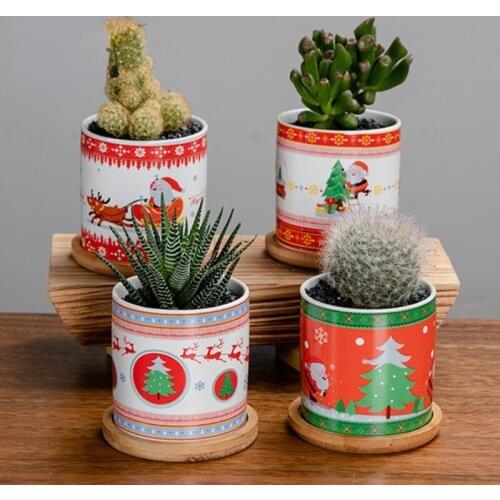 Christmas Table Meat Flower Pot Potting Decoration Home Garden Succulent Flowerpot Decoration Christmas Gift Flower Vase