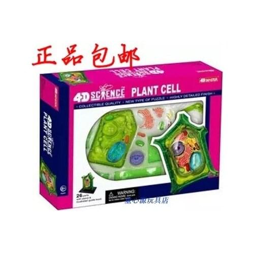 4D MASTER Plant Model Assembly plant cell model Puzzle 13.5cm*7cm*13cm free shipping