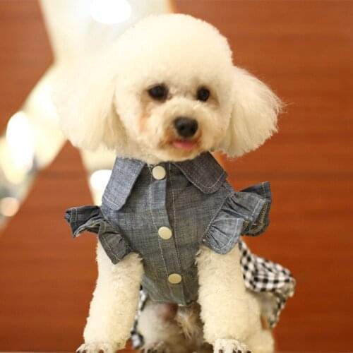 2021 New Dog Clothes Spring And Summer Princess Dress Teddy Clothes Denim Bow Skirt Pet Plaid Clothes Dog Skirt