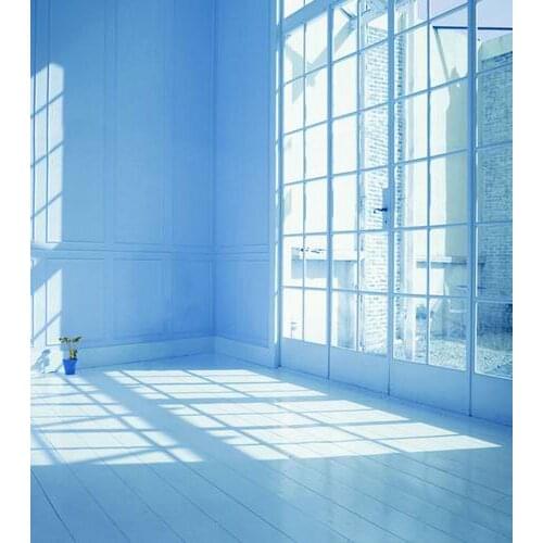 Light blue modern portrait backgrounds photography vinyl French window backdrop photography in photo studio Accessories CM-0812