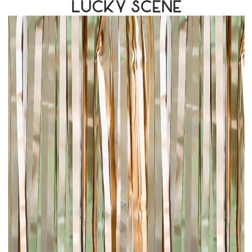 Metallic Tinsel Foil Fringe Curtains for Party Photo Backdrop Wedding Decor Party Decoration S00033