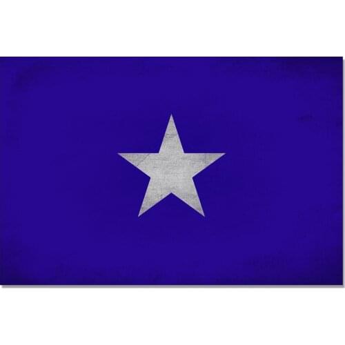 The Bonnie Blue Flag 150X90CM banner 3x5 FT 100D Polyester brass grommets custom flag