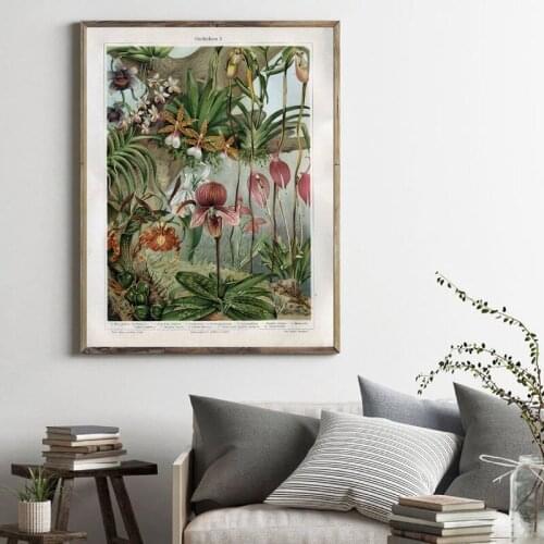 Orchids Late 1800s Botanical Poster Canvas Prints Snapdragon Antique Flowers Plants Wall Art Painting Picture Home Room Decor