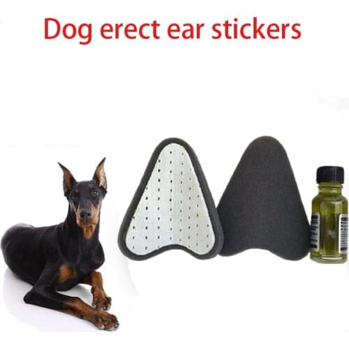 Одежда и обувь для собак ASPET China At AliExpress