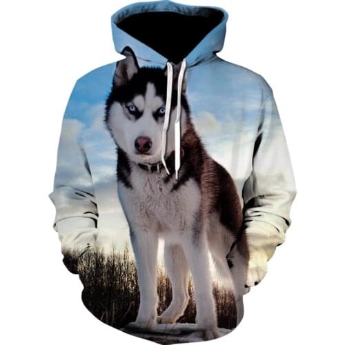 Cool white Wolf 3D All Print Plus Size Hoodie men women Harajuku Outwear Pullover Sweatshirts Casual hoodies fall/winter Jacket