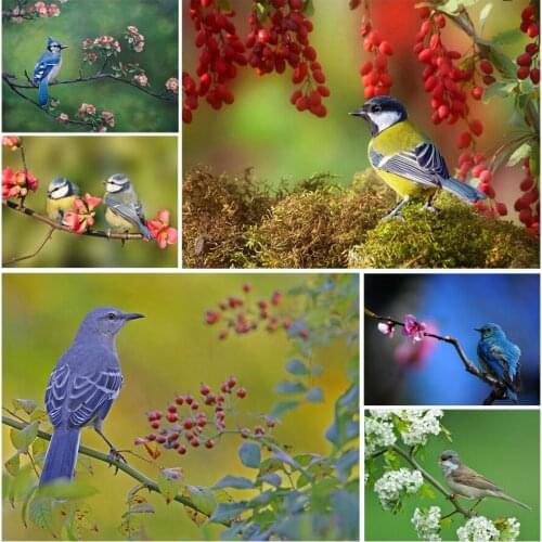 Colorful Nature Little Birds 5D Diy Full Square and Round Diamond Painting Embroidery Cross Stitch Kit Wall Art Home Decor
