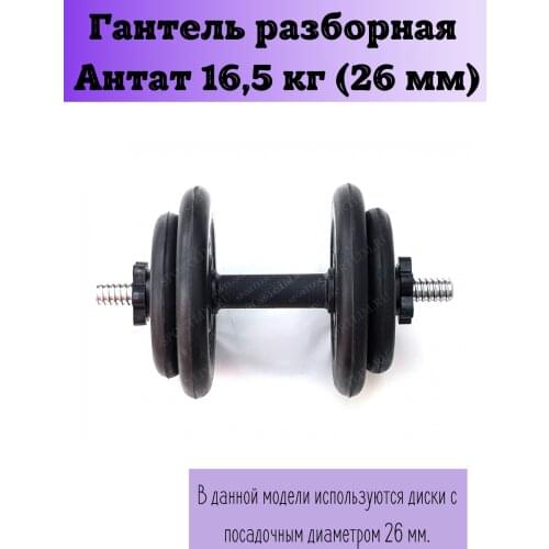 Antat Dumbbells