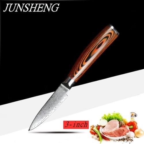 JUNSHENG Color Wood Series 3 Inch Damascus Steel Multi-function Fruit Knife Color Wood Handle Kitchen Tool Chef Knife