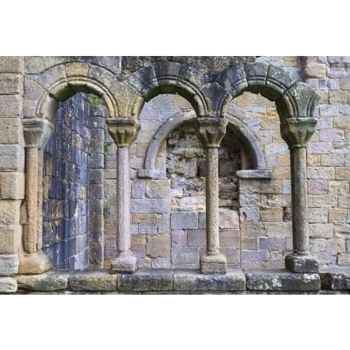 VinylBDS Retro Architecture Photographer Props 10x10ft Shape Old Door Backdrop Wall Photo Studio Stage Photo Studio