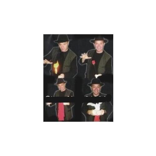 Torch To Rose To Silk - Flower Magic Tricks,Stage Magic,Accessories,illusions,Party Magic,Gimmick,Rose Appearing/Vanishing Fun