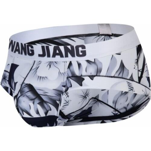 JICLIXHO Men's Briefs With Print
