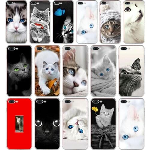 252H cat kitty blue eyes cute animal pet Soft TPU Silicone Cover Case For Apple iPhone 6 6s 7 8 plus Case