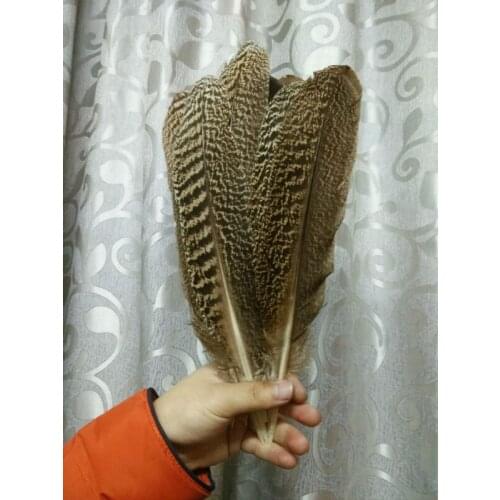 Nature Good Free shipping wholesale high quality 10pcs natural peacock feather 30-35cm/12-14inch Decoration diy