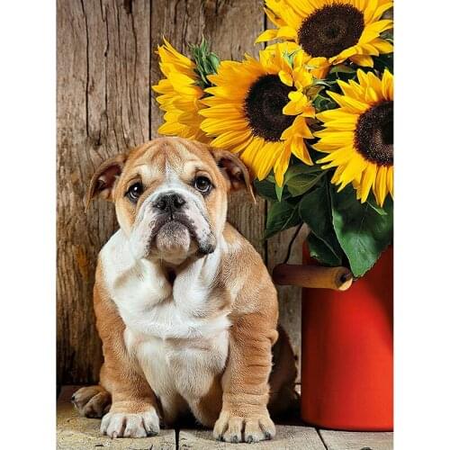 Full,Diamond Embroidery,bulldog flower,5D,diy Diamond Painting,Cross Stitch,Diamond Mosaic,diamond pattern,home decor stickers