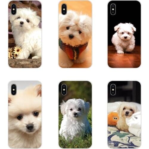 Accessories Phone Shell Covers My Maltese Dog For Samsung Galaxy S2 S3 S4 S5 Mini S6 S7 Edge S8 S9 S10E Lite Plus