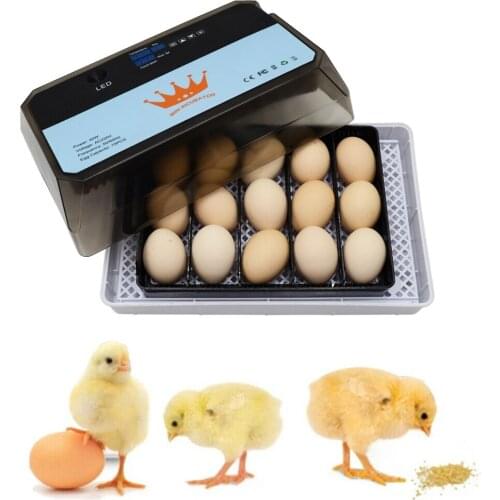 15 Egg Automatic Eggs Incubator Poultry Chicken Bird Quail Brooder Farm Hatchery Incubator Brooder Machine Temperature Poultry