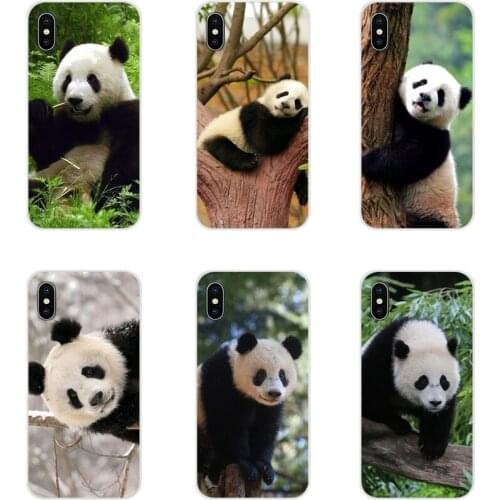 Accessories Phone Shell Covers Cute Chinese Panda For Huawei Mate Honor 4C 5C 5X 6X 7 7A 7C 8 9 10 8C 8X 20 Lite Pro